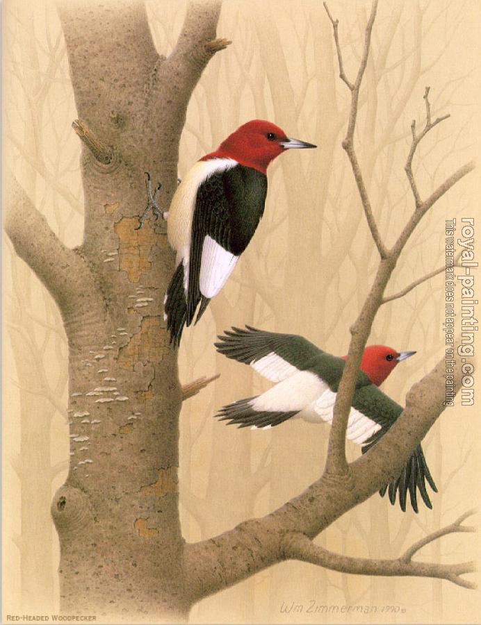 William Zimmerman : Red headed Woodpecker